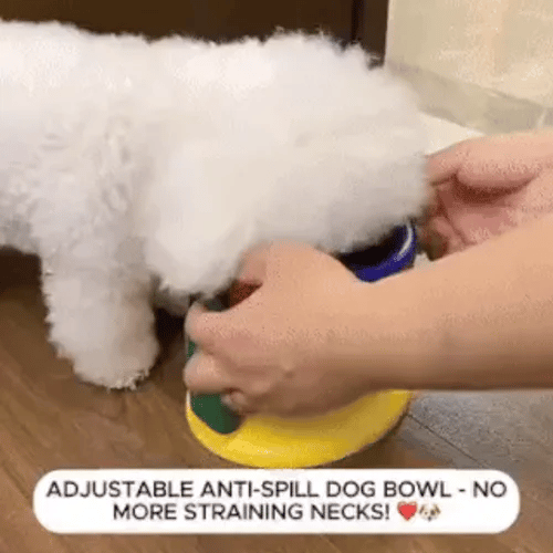 TILLFÄLLIGT 50% OFF  BowlBuddy™