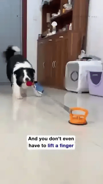 TILLFÄLLIGT 50% OFF  RuffTug™