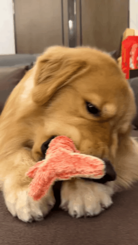 TILLFÄLLIGT 50% OFF  Flopster™ 