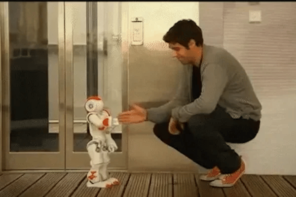 TILLFÄLLIGT 50% OFF  RoboBuddy™