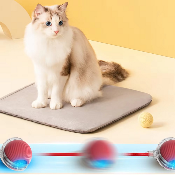 1 + 1 GRATIS IDAG  WhirlPaw™