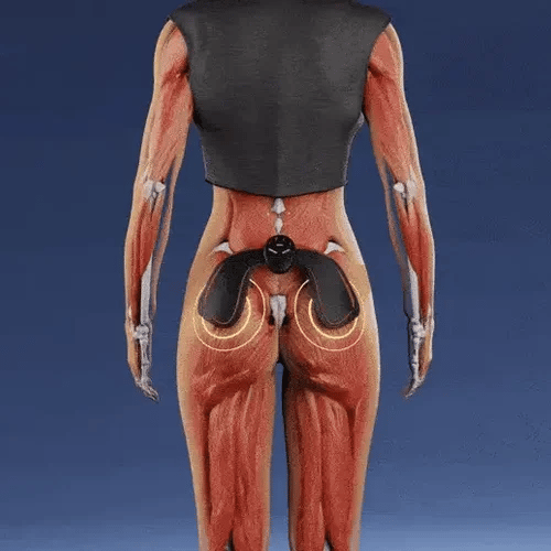TILLFÄLLIGT 50% OFF  GlutePulse™ 