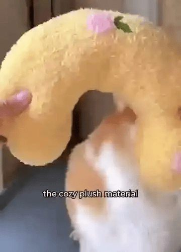 TILLFÄLLIGT 50% OFF  PawCuddle™