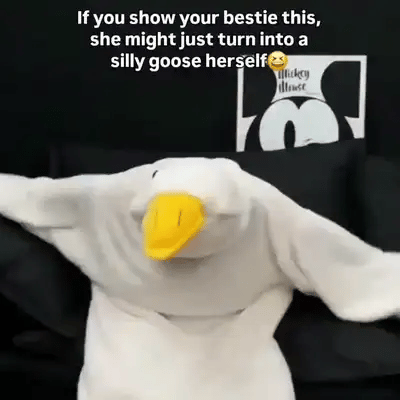 TILLFÄLLIGT 50% OFF  WaddleWear™