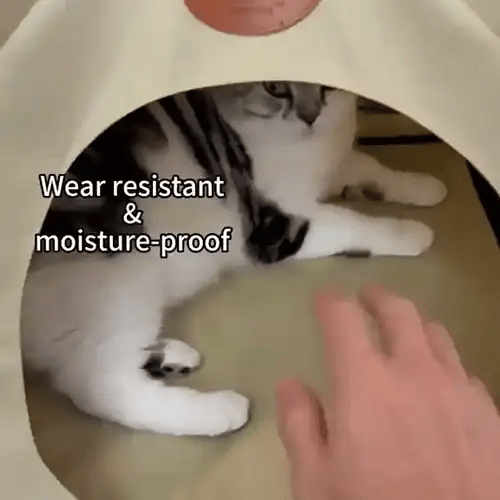 TILLFÄLLIGT 50% OFF  PawTent™