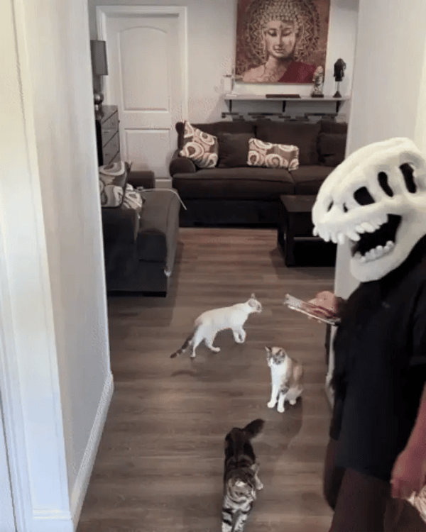 TILLFÄLLIGT 50% OFF  DinoRoar™