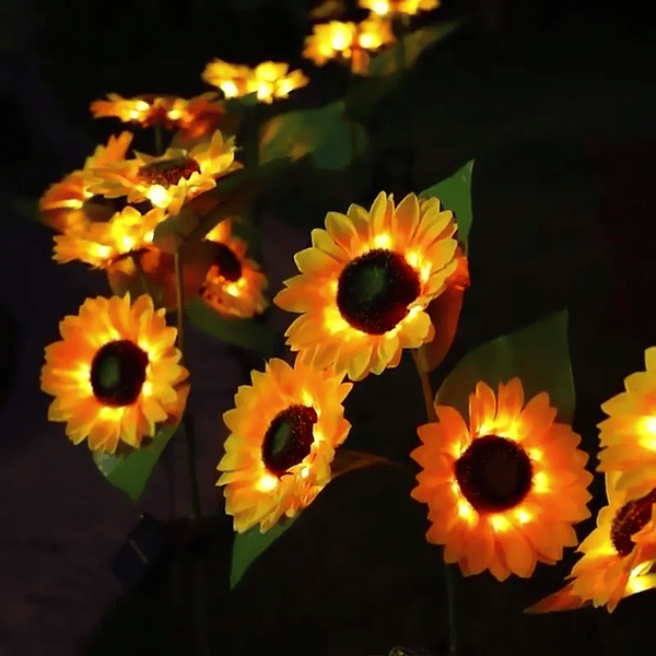 1 + 1 GRATIS IDAG  SolarBloom™