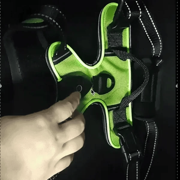 TILLFÄLLIGT 50% OFF  GloLeash™ 