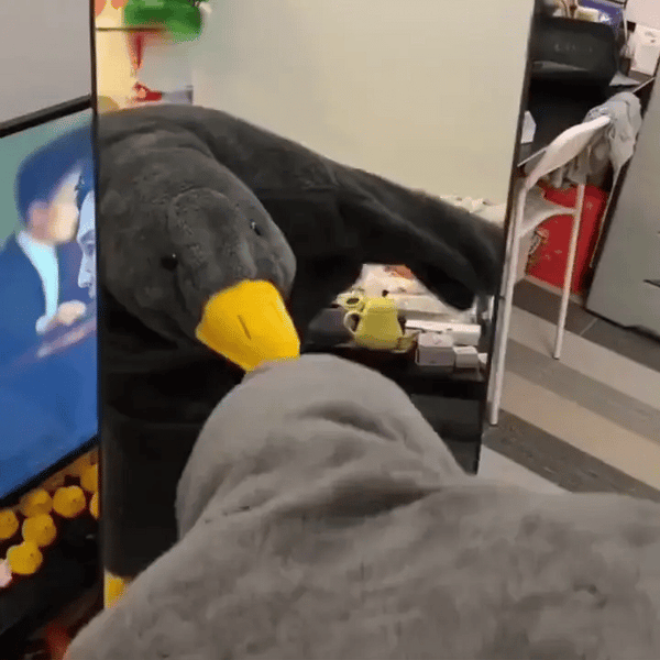 TILLFÄLLIGT 50% OFF  WaddleWear™