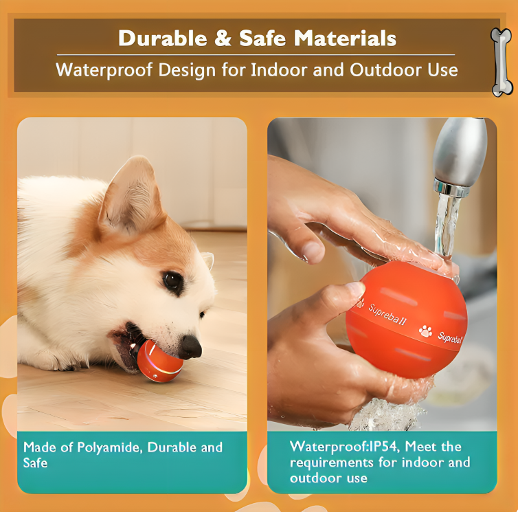 FlashFetch™ | Interaktiv hundboll utan att behöva kasta den!