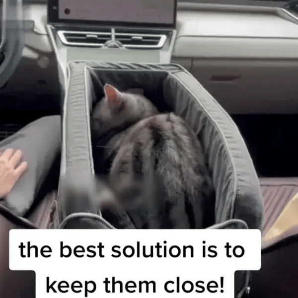 TILLFÄLLIGT 50% OFF  PawPort™