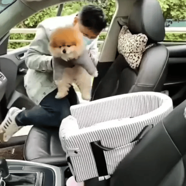 TILLFÄLLIGT 50% OFF  PawPort™