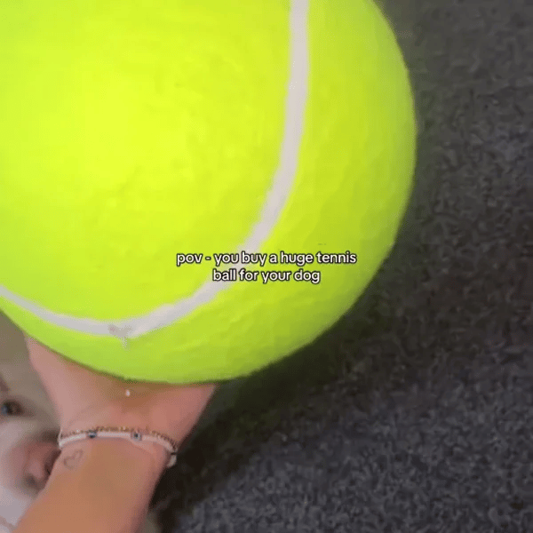 TILLFÄLLIGT 50% OFF  MegaFetch™